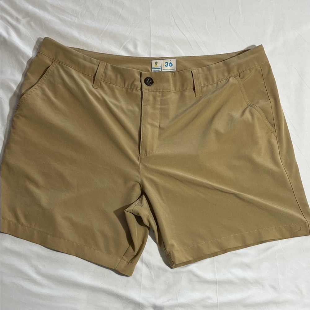 Chubbies Men's Tan Flat Front Shorts